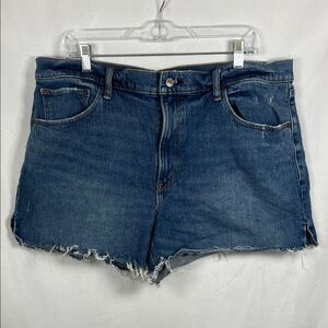 Abercrombie & Fitch The 4” Mom Short High Rise 33 / 16